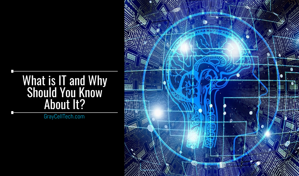 What is IT and Why Should You Know About It?