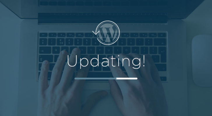 Regularly Update the WP
