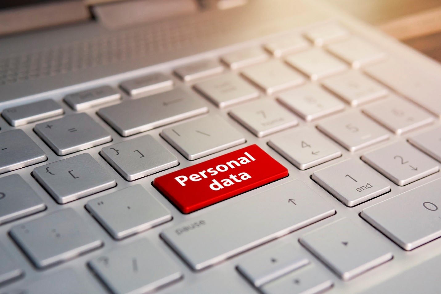 Intrusion Detection Systems (IDS)