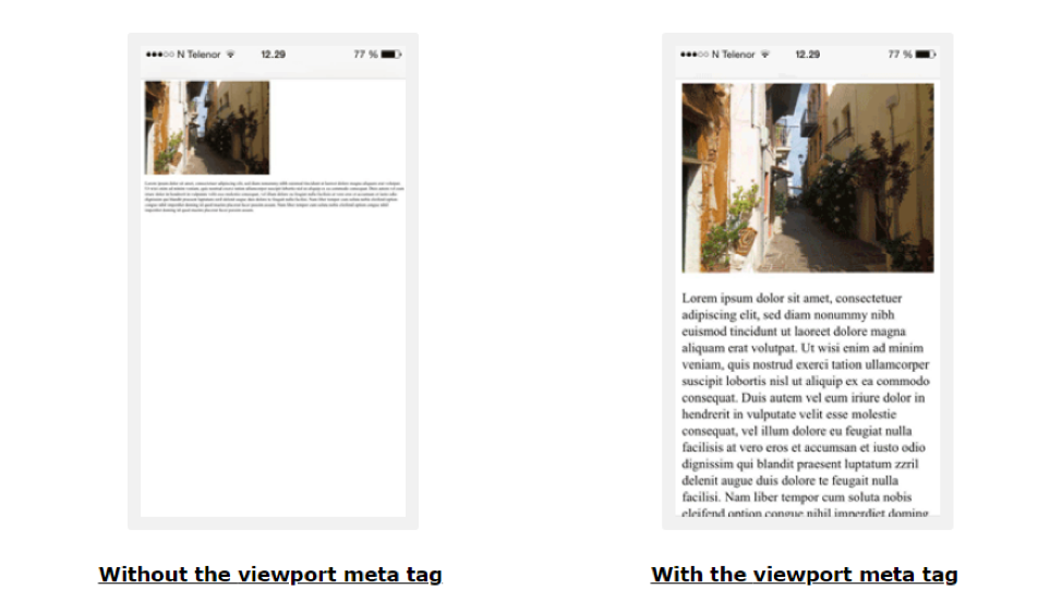 Responsive Design Meta Tag